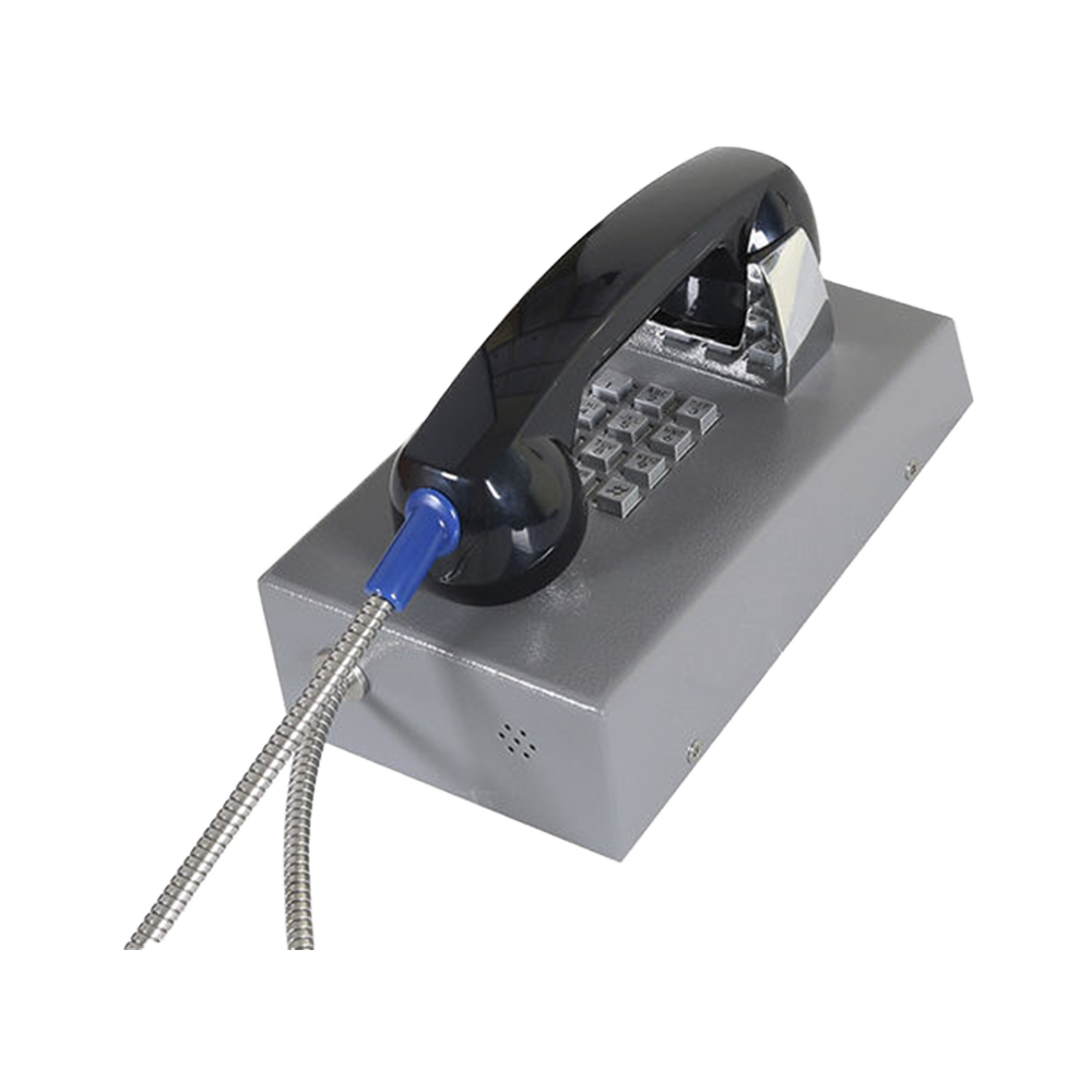 JR201-FK Telefono Antivandalico Vozell - Image 2