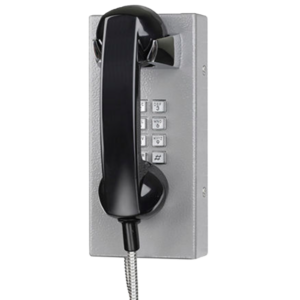 JR202-FK Telefono Antivandalico Vozell - Image 2
