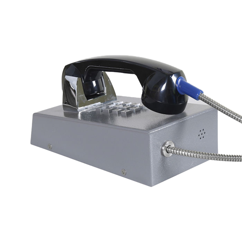 JR201-FK Telefono Antivandalico Vozell - Image 3