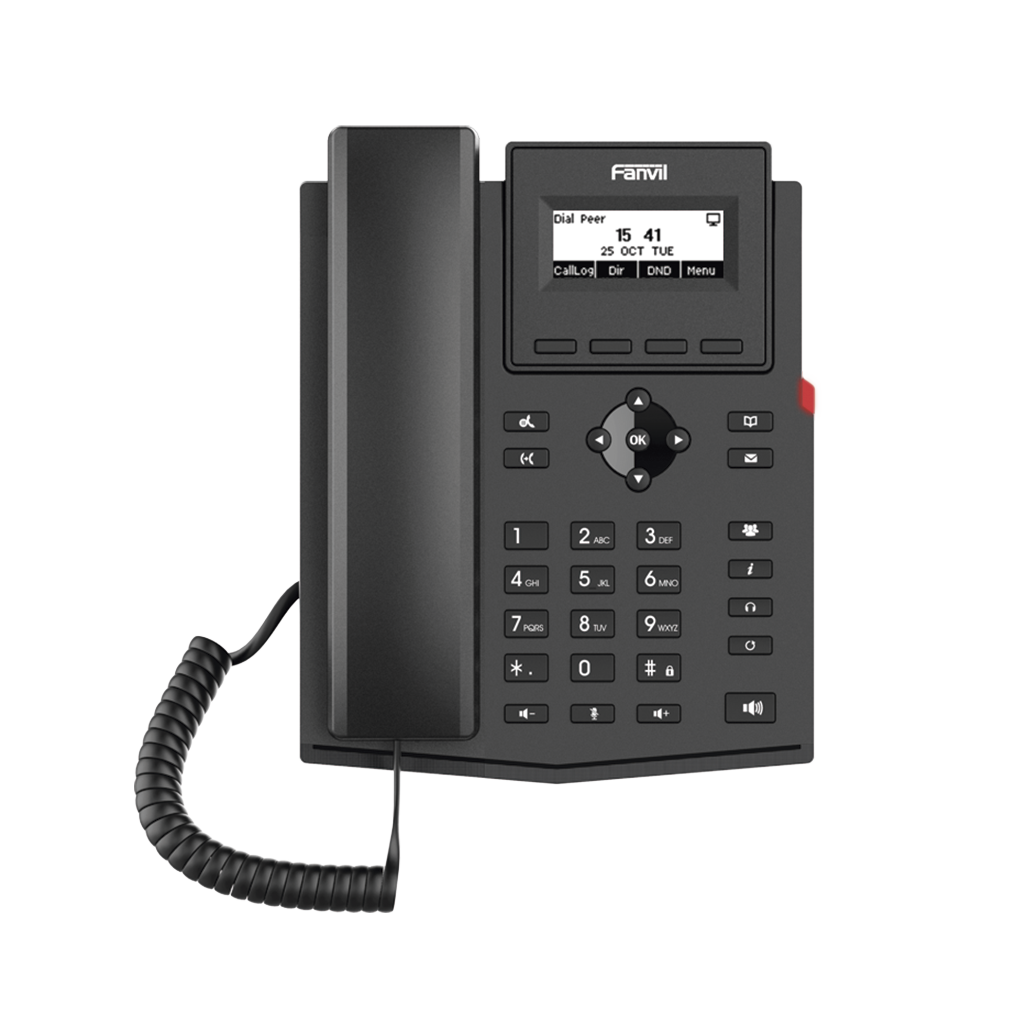 Teléfono IP empresarial X301P